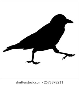 Bird Crow Silhouette Vector illustration