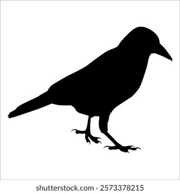 Bird Crow Silhouette Vector illustration