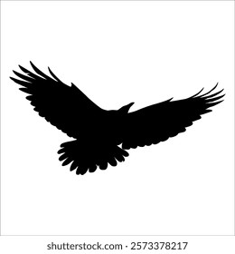 Bird Crow Silhouette Vector illustration