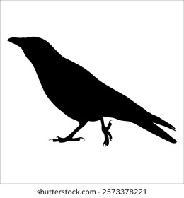 Bird Crow Silhouette Vector illustration