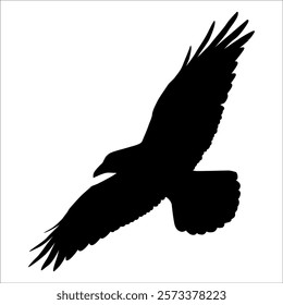 Bird Crow Silhouette Vector illustration