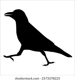 Bird Crow Silhouette Vector illustration