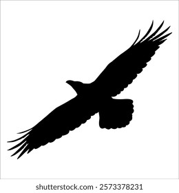 Bird Crow Silhouette Vector illustration