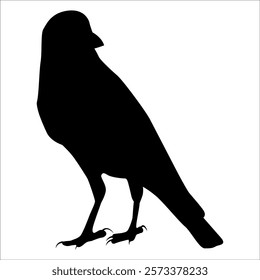 Bird Crow Silhouette Vector illustration