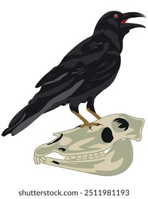 Bird crow sits on skull animal vector