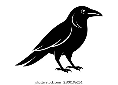 Diseño de dibujos animados, Clipart y líneas de Ilustración vectorial de cuervos de pájaro para micro stock