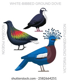 Bird Crown Pigeon Dove New Guinea Set Cute Cartoon Vector