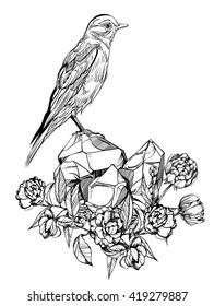 bird and crystals. Detailed drawing of a bird. Vector illustration isolated on white background