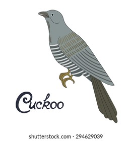 Bird Cuckoo Vector Illustration