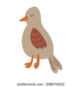 Bird cuckoo. Vector illustration isolated on white background, flat style.