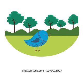 bird cute cartoon