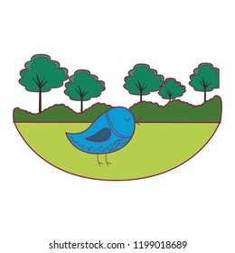 bird cute cartoon