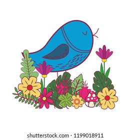 bird cute cartoon