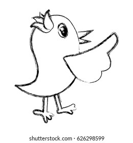 Bird cute cartoon