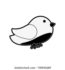 Bird cute cartoon