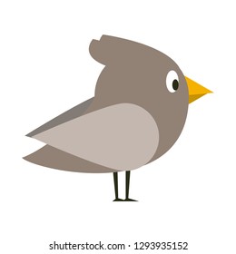 Bird cute cartoons