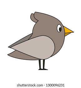Bird cute cartoons