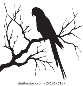 Vogel-süßes Vektorsilhouettenbild
