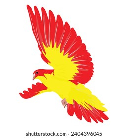 bird design colorful bird american bird bird cartoon