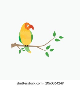bird design illustration vector, bird parrot