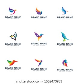 bird design logo in full color vector style template