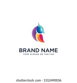bird design logo in full color vector style template