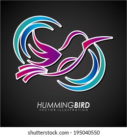 Bird design over black background, vector illustration