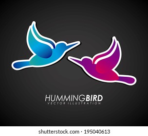 Bird design over black background, vector illustration