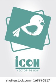 bird design  over gray   background vector illustration 