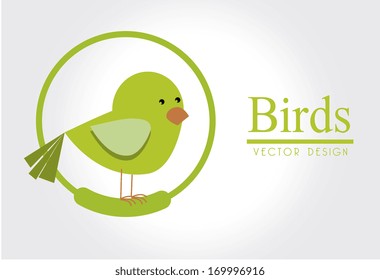 bird design  over gray   background vector illustration  