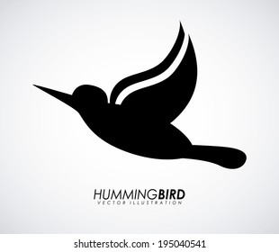 Bird design over gray background, vector illustration