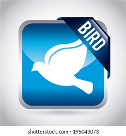 Bird design over gray background, vector illustration
