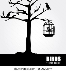 bird design over white background vector illustration 