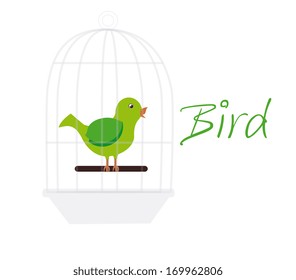 bird design  over white  background vector illustration 