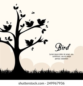 Bird design over white background, vector illustration.
