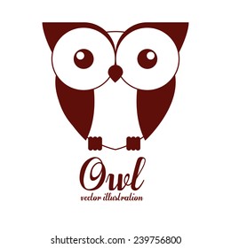 Bird design over white background,vector illustration.
