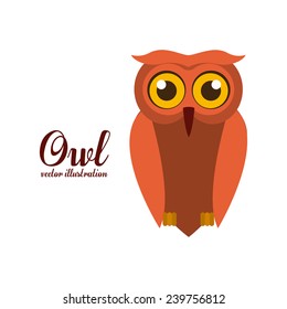 Bird design over white background,vector illustration.