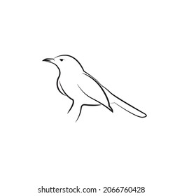 Vector de diseño de pájaro negro y blanco 