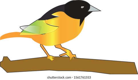 Bird design in vector illustration.