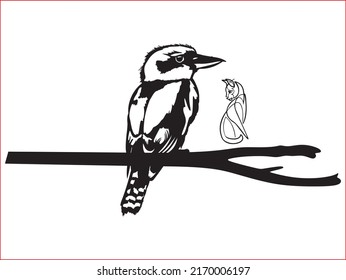 bird design Vector Various birds with different folk ornaments