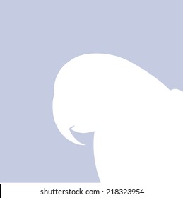 bird  design,profile