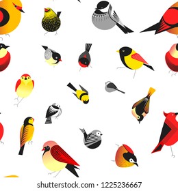 Pájaros diferentes tipos de animales bullfinch vectores de patrón sin costura. Resplandor con mandíbula superior e inferior, plumaje de criatura que tenga alas y que vuele. Aves de corral con cola, representativas de la naturaleza