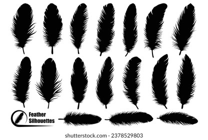 Bird Different types Feathers silhouettes vector art