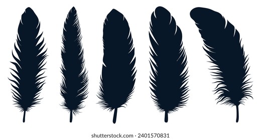 Bird Different types Feathers silhouettes vector art