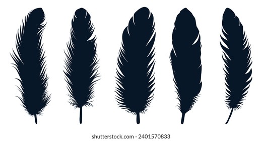 Pájaro Diferentes tipos Fethers silhouettes arte vectorial