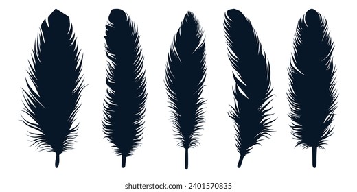 Bird Different types Feathers silhouettes vector art