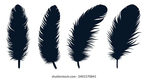 Bird Different types Feathers silhouettes vector art