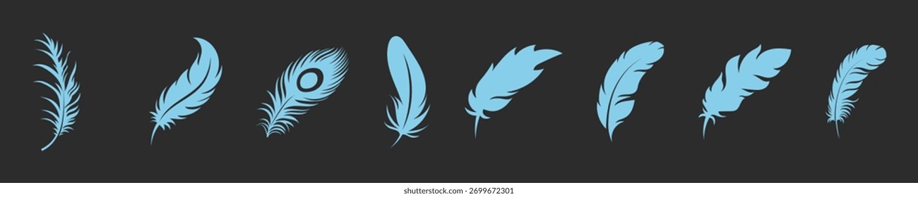 Pássaro Diferentes tipos Penas silhuetas vetor arte