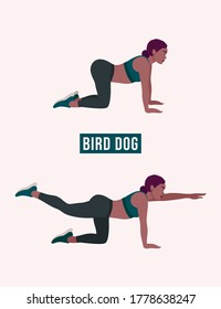 Bird Dog exercise, Woman workout fitness, aerobic and exercises. Vector Illustration.