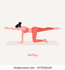 Bird Dog Yoga Pose. Young Woman Practicing Yoga  Exercise. Woman Workout Fitness, Aerobic And Exercises. Vector Illustration.